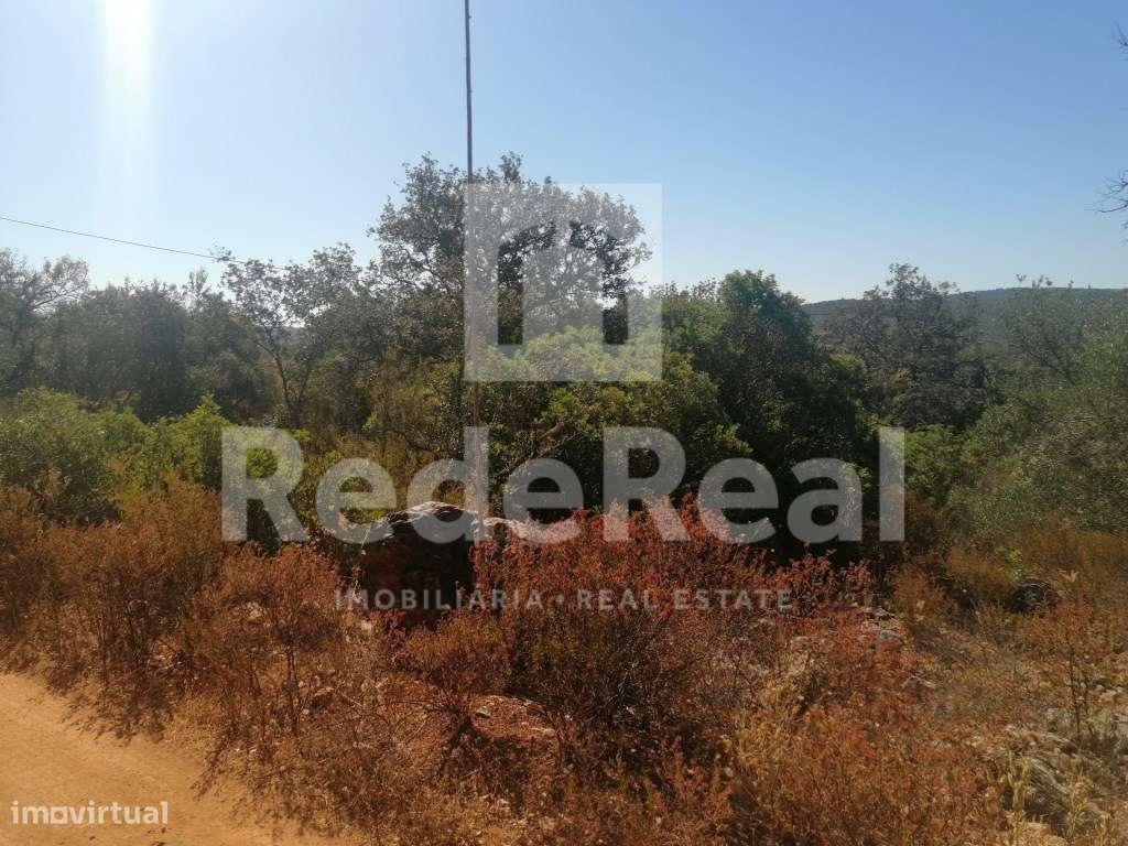 Terreno com bons acessos ideal para agricultura biologica - Grande imagem: 3/10