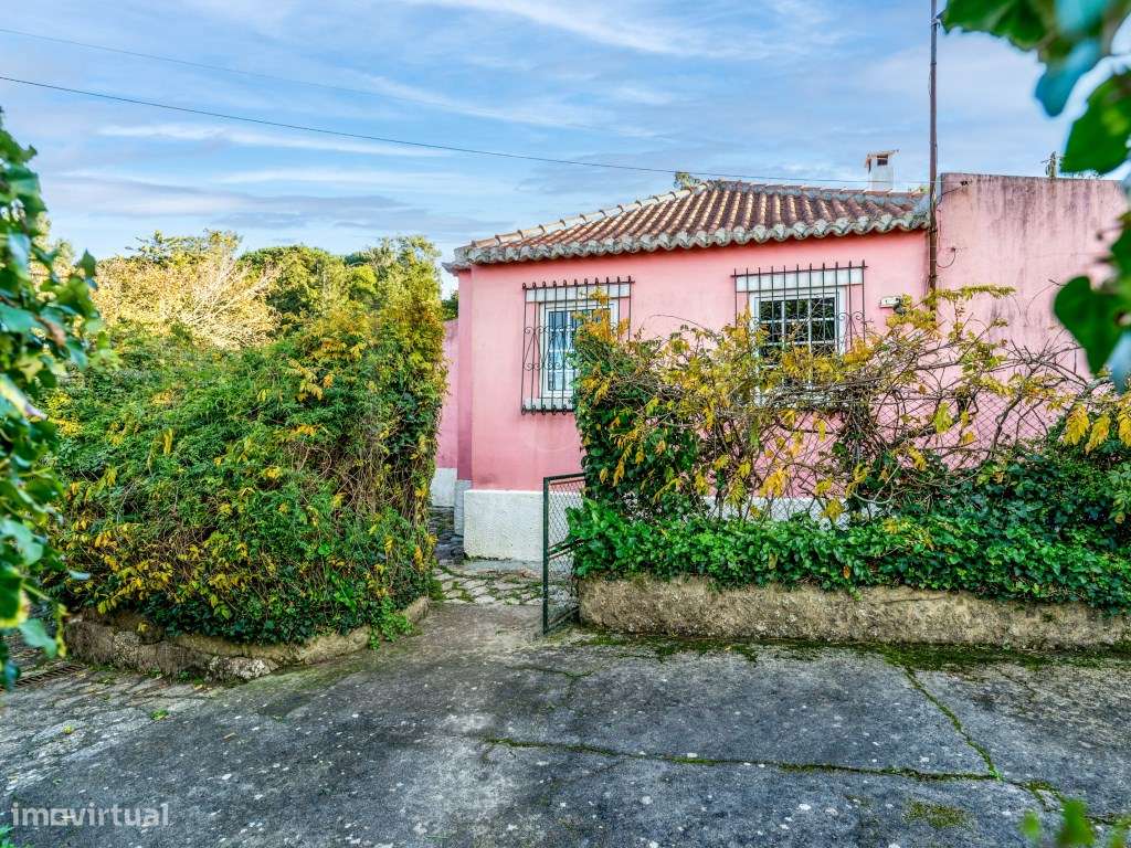 QUINTA COM 22.000 m² E TRÊS MORADIAS EM LOCALIZAÇÃO PRIVILEGIADA DE...-51