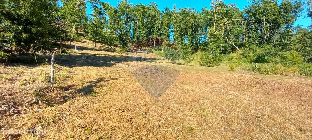 Terreno  para venda - Grande imagem: 2/16