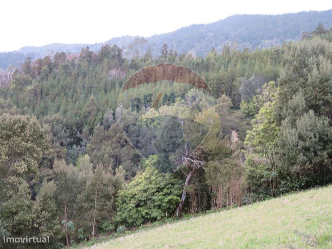 Terreno  para venda - Grande imagem: 5/8