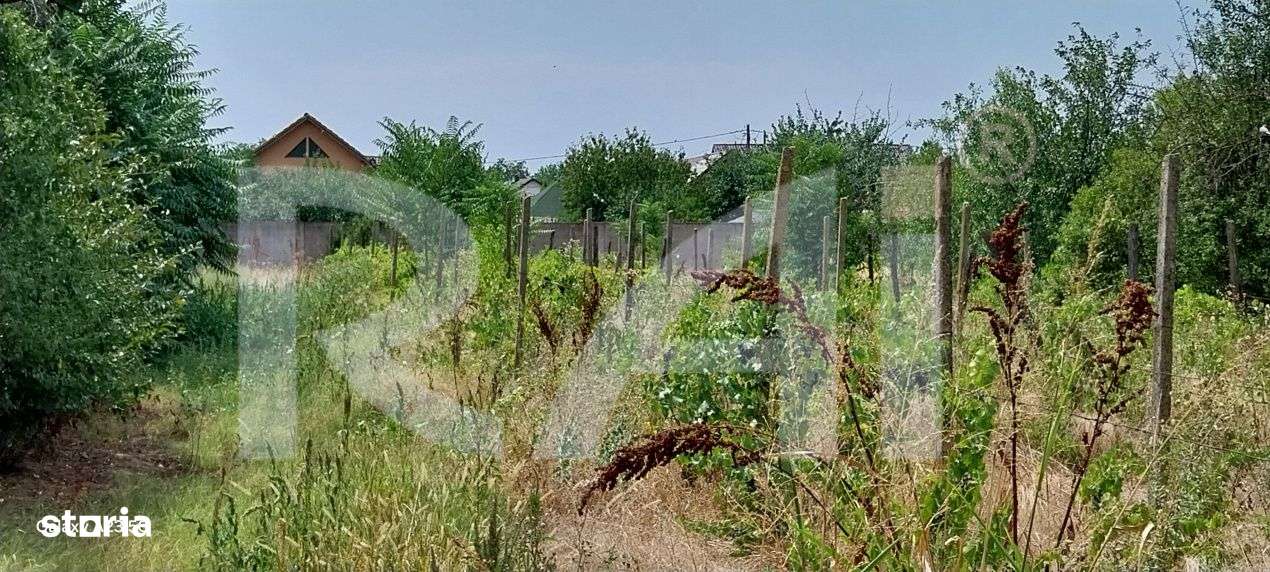 BOMBĂ! Teren intre case, utilitati – 26 €/m² - Imagine principală: 5/6