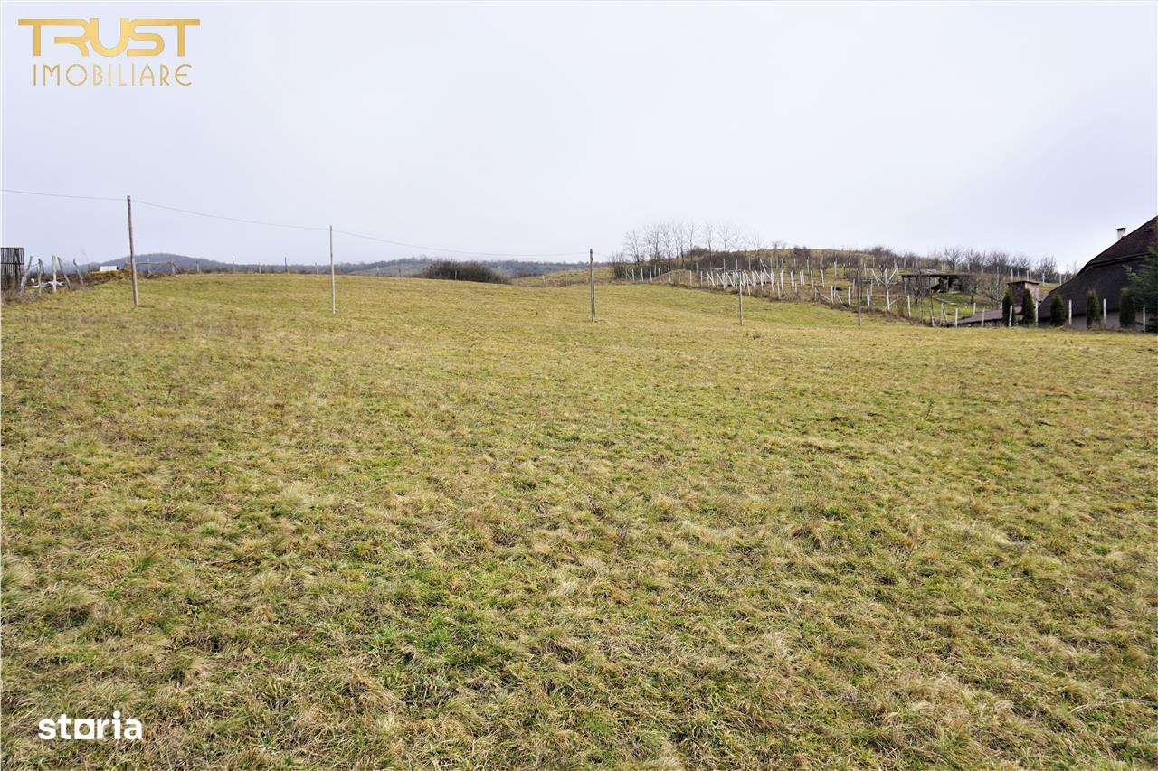 Teren intravilan Crainimat acces din DN 17 - Imagine principală: 5/13