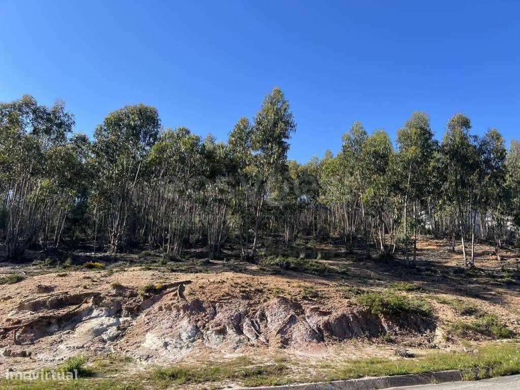 Terreno com loteamento, com 214760m2, perto da entrada da A8, em To... - Grande imagem: 4/24