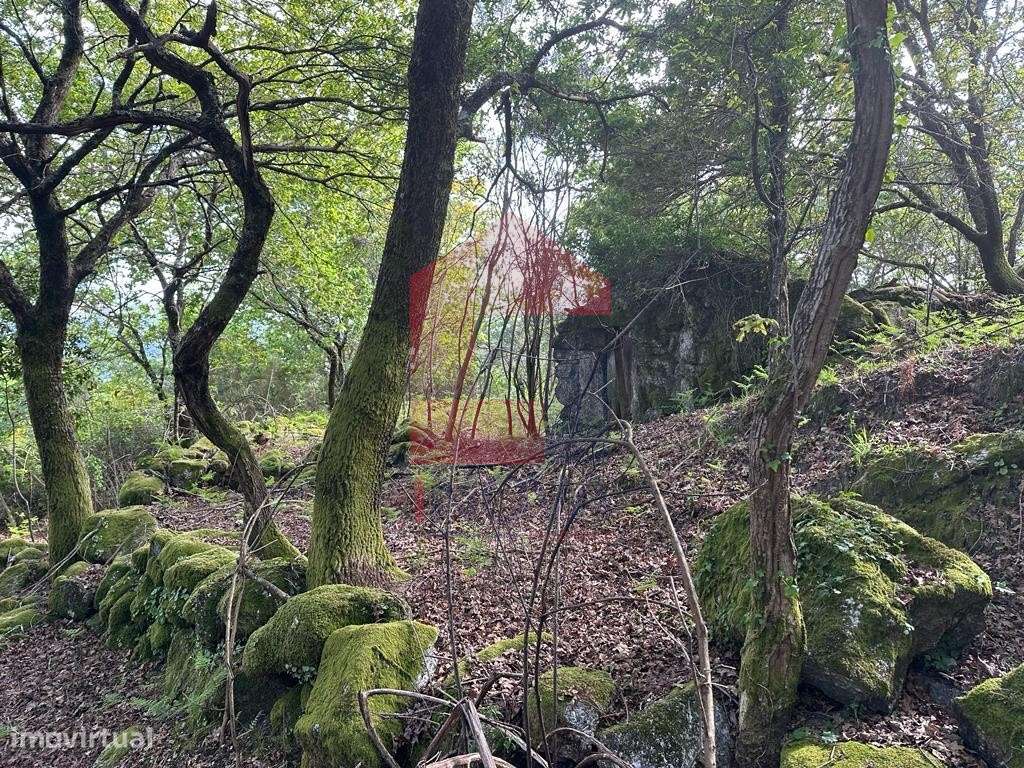 Terreno, Valdreu - Grande imagem: 4/31