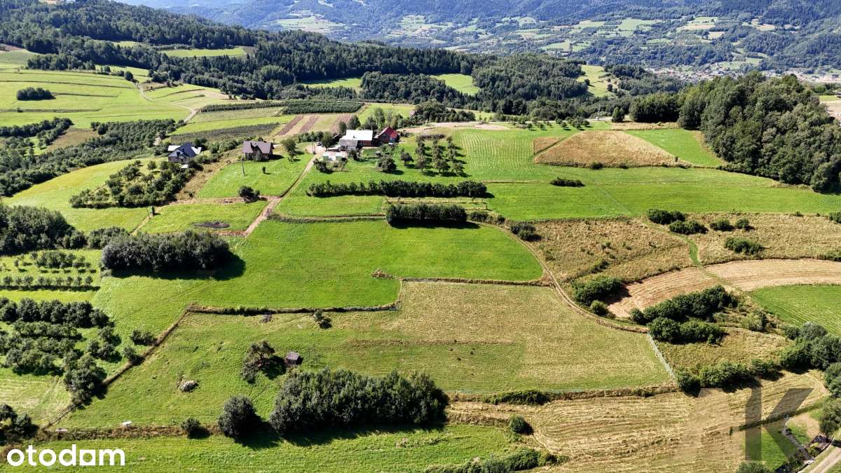 Działka rolna 26,5ar Wola Piskulina - Pełny obrazek: 3/12