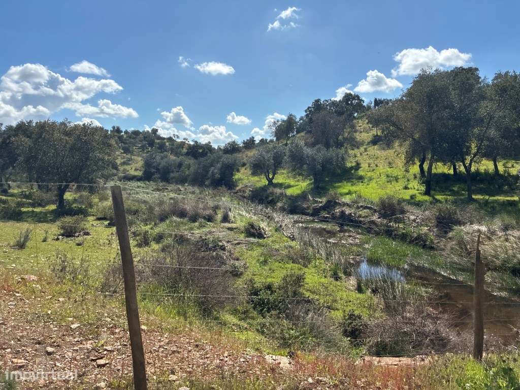 Quinta T2 em Serpa | Vista para a barragem-50