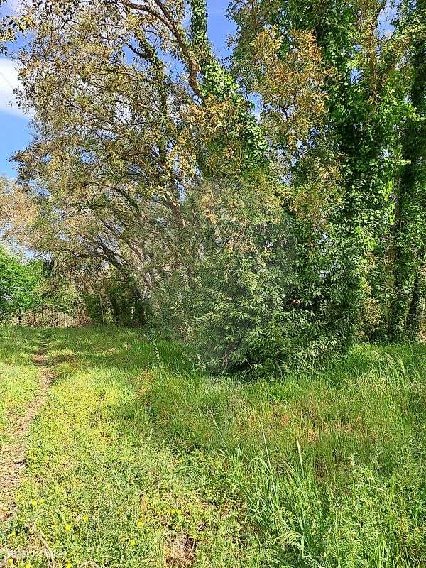 Terreno  para venda - Grande imagem: 3/4