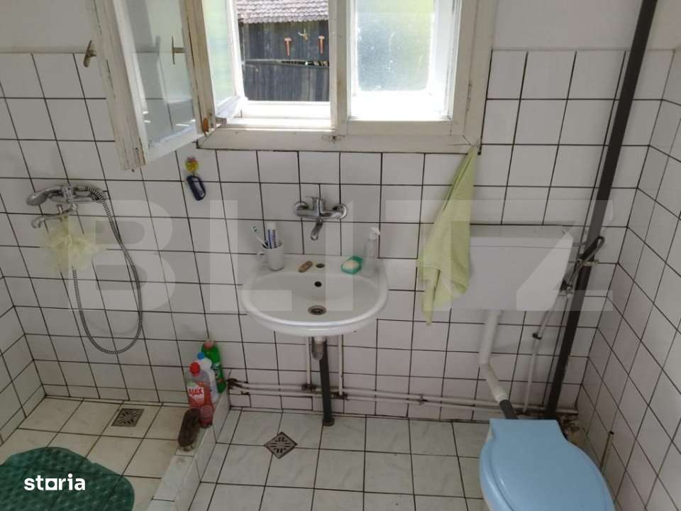 Casa pitoreasca in Viile Tecii cu o gradina de 26 de arii - Imagine principală: 4/8