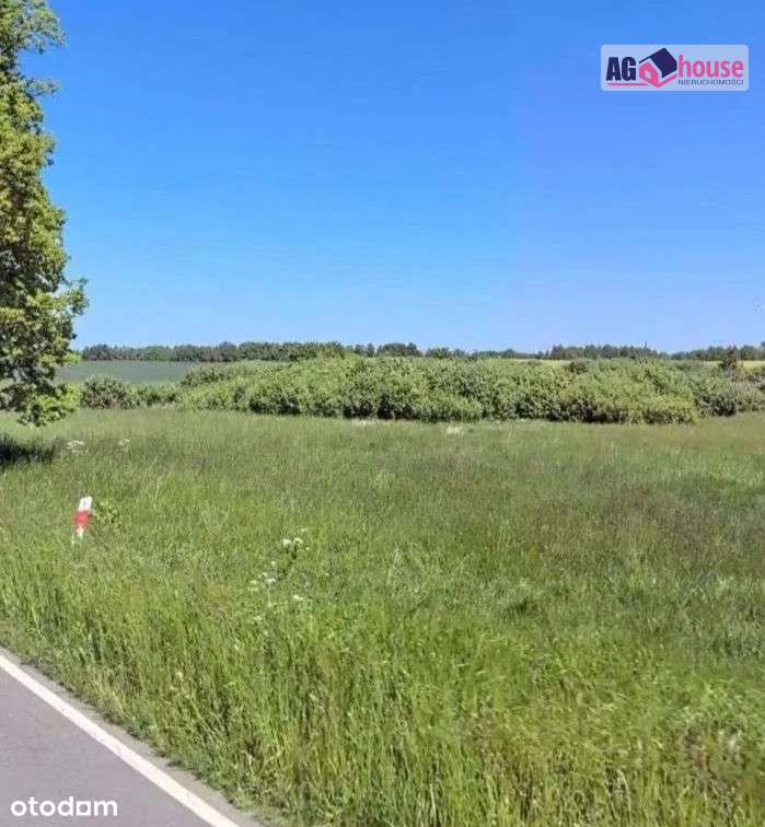 Okazja! Działka 3,3 ha niedaleko  nadmorskiej Łeby - Pełny obrazek: 3/5