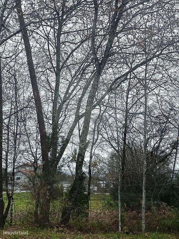 Terreno  para venda - Grande imagem: 4/7