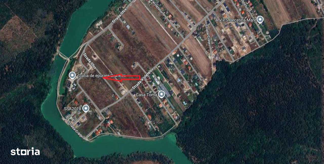 Branesti, 500mp, str. Violetelor, Lacul Pasarea, Padurea Cucu-1