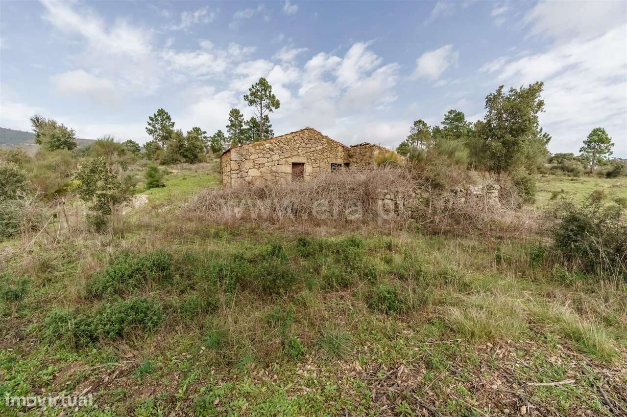 Quinta T1 / Fundão, Vale de Prazeres e Mata da Rainha - Grande imagem: 5/15