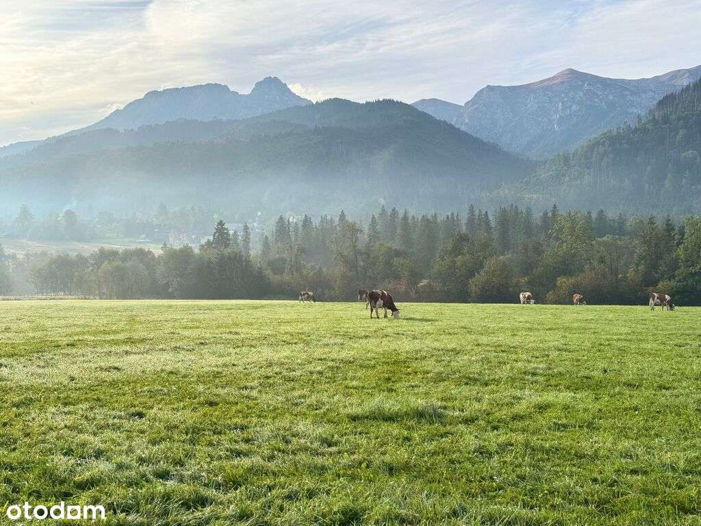 Apartament Inwestycyjny Kościelisko strefa SPA-6