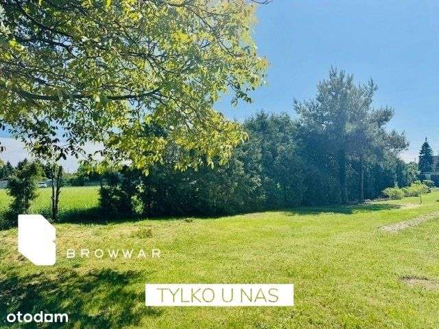 Działka z pięknym ogrodem -Tarnowo Podgórne - Pełny obrazek: 5/18