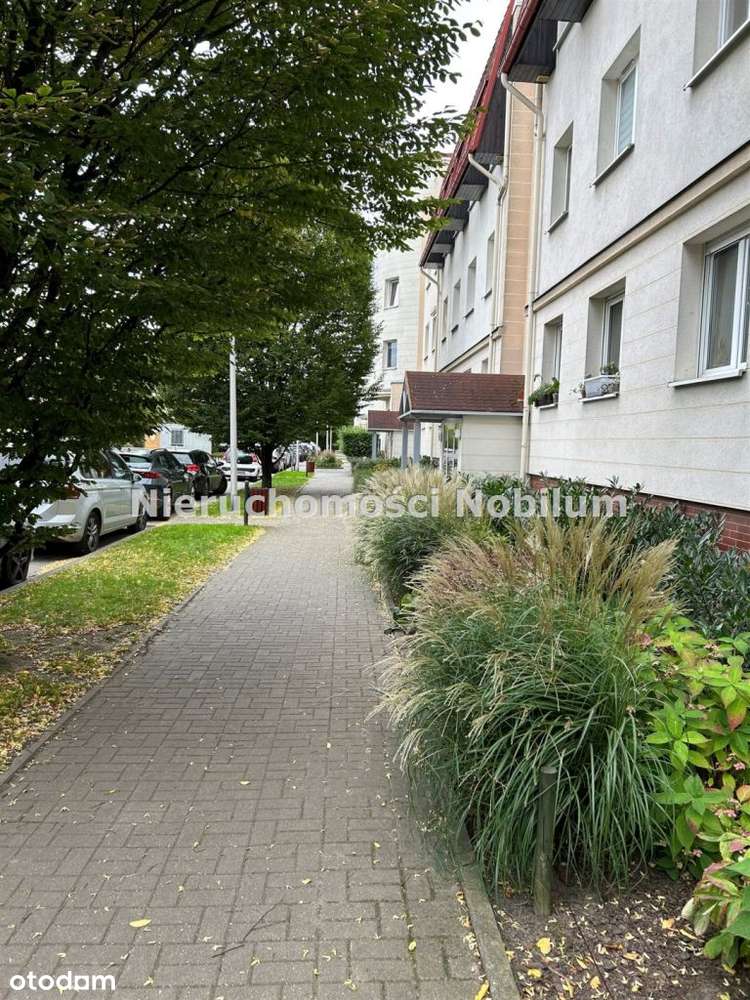 Świetnie 3-pok. mieszkanie na Jagodnie we Wrocławi-10