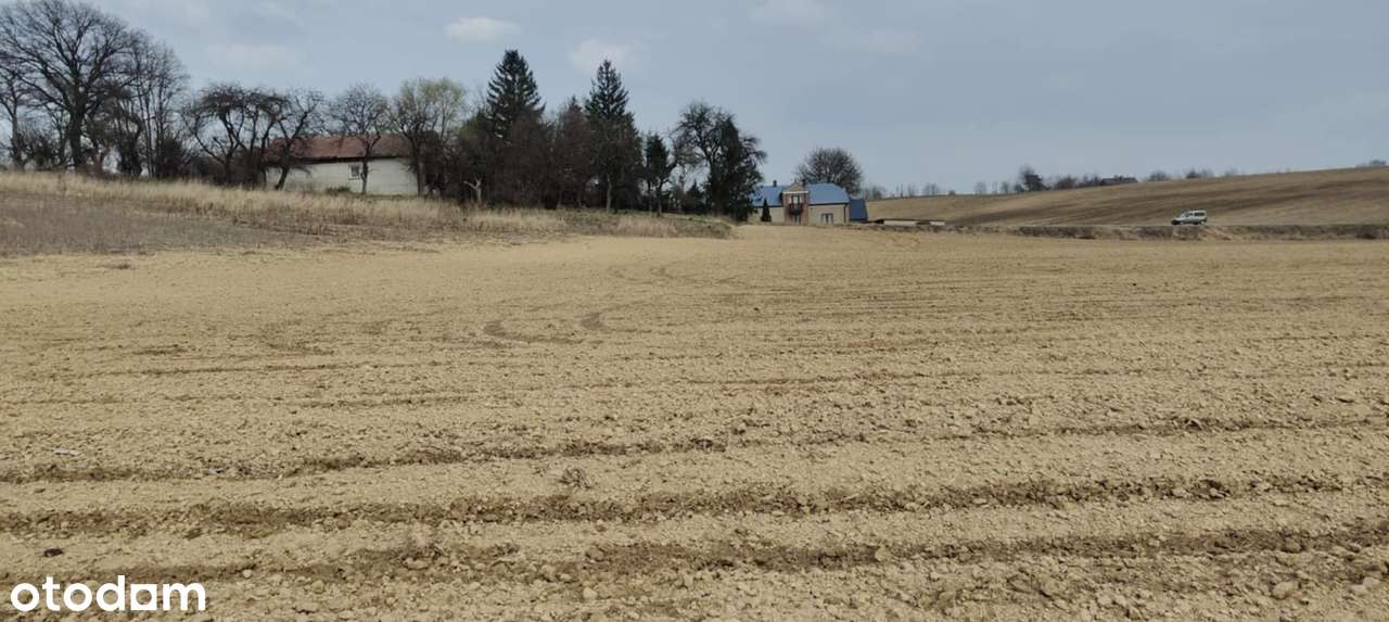 Dom wolnostojący z garażem na działce 30 000m² 3ha-12