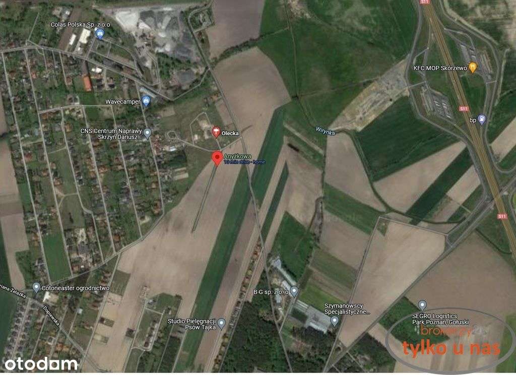 Działka budowlana Gołuski [wolnostojący/2lokalowy]-4