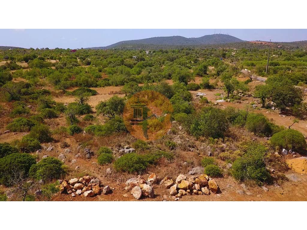 Terreno Rústico com Eletricidade e Furo - Grande imagem: 4/7