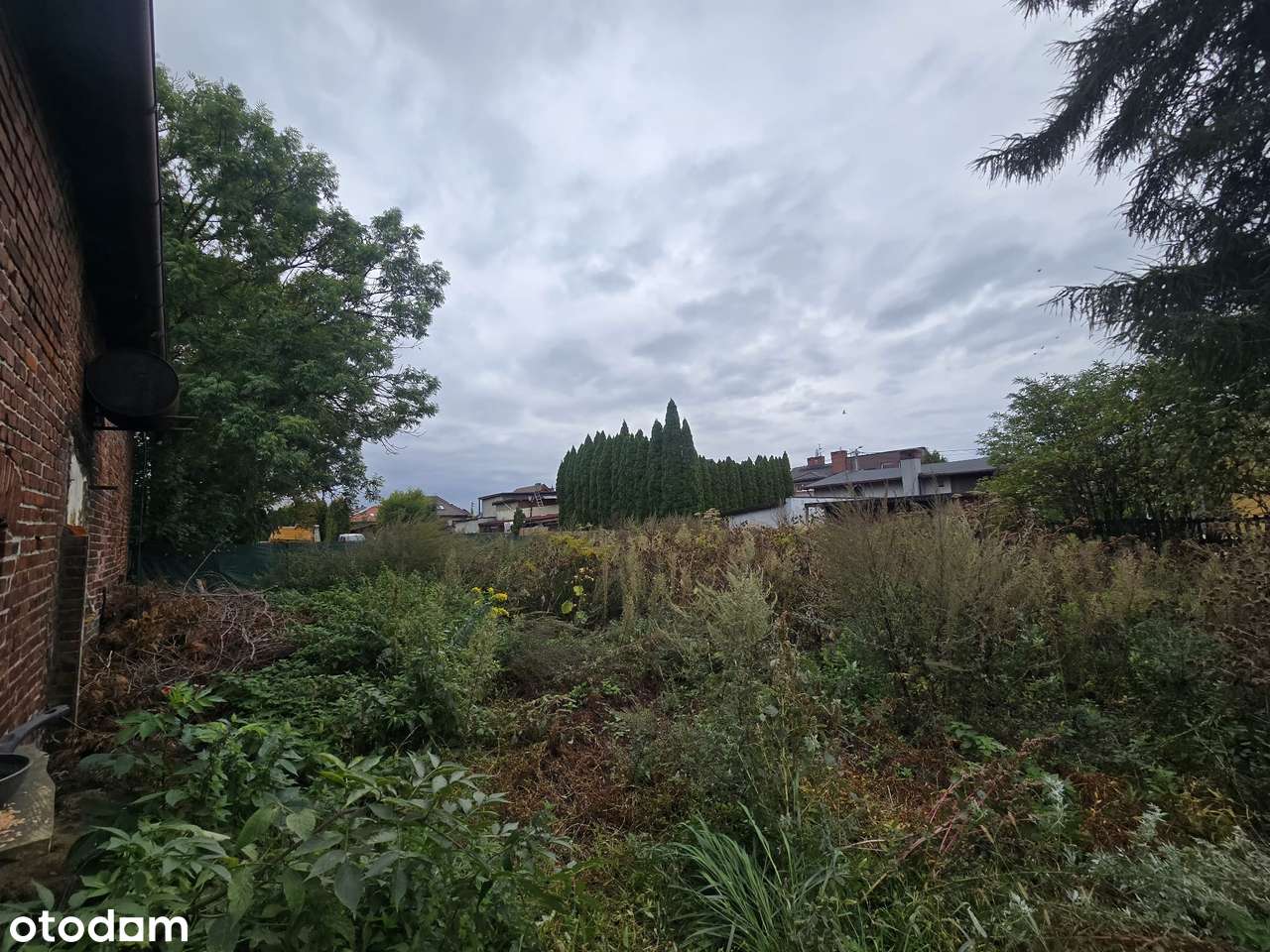 Tychy, ul. Katowicka - Pełny obrazek: 5/5