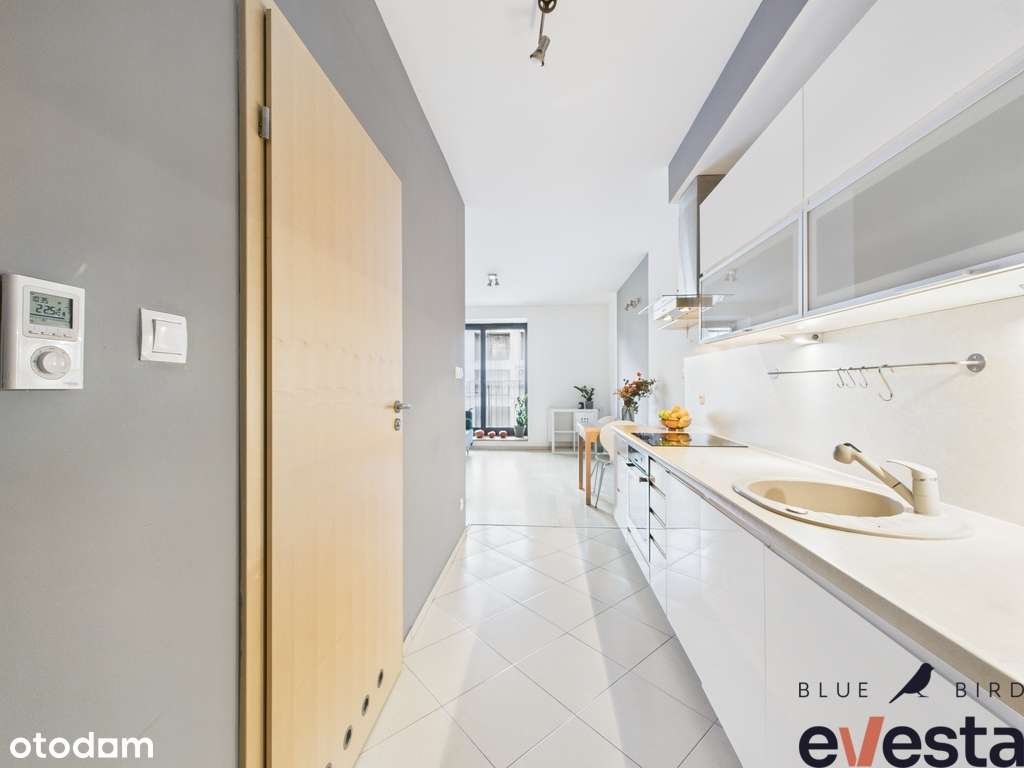 Angel Wings / pewna inwestycja / gotowa do wejścia-4