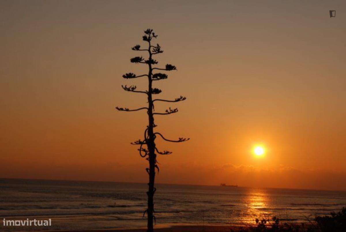 Apartamento com 3 quartos - localizado em Oeiras Lisbon - Grande imagem: 2/10