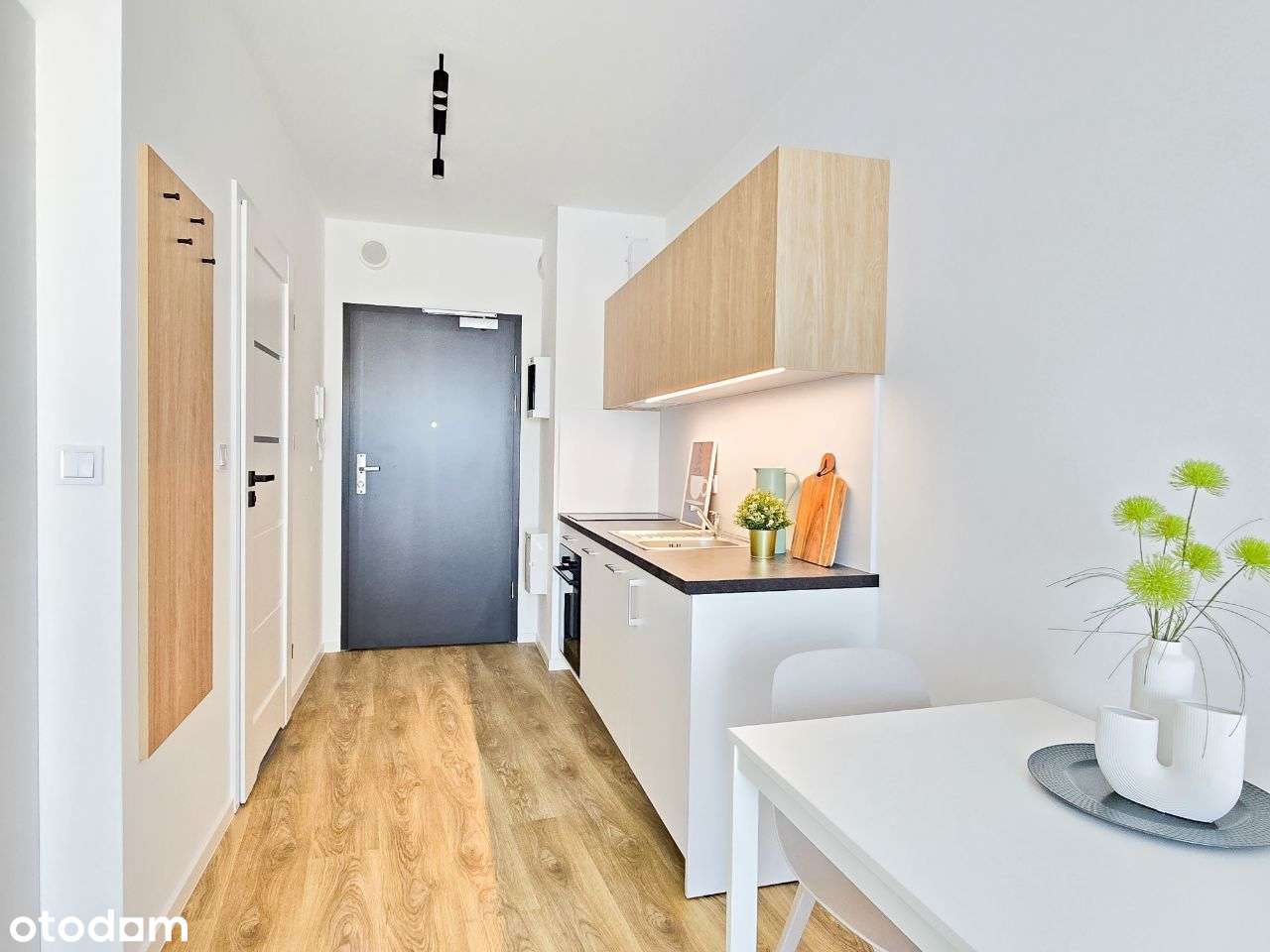 Nowe, komfortowe studio bez prowizji zwierzęta akceptowane - Pełny obrazek: 5/13