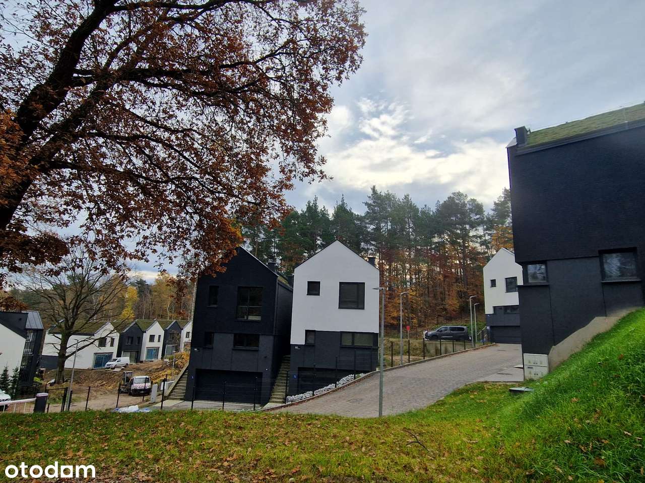 Leśna Dolina Etap II - Pełny obrazek: 3/12