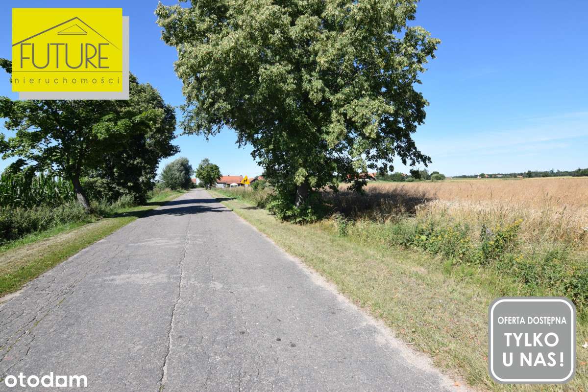 Działka rolna 5662m2 Kurowo Braniewskie - Pełny obrazek: 5/7