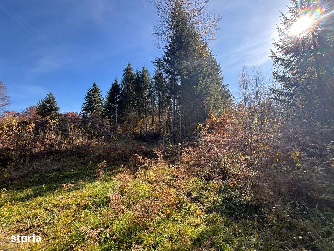 Teren intravilan 775mp zona Valea Avrigului - Imagine principală: 5/6