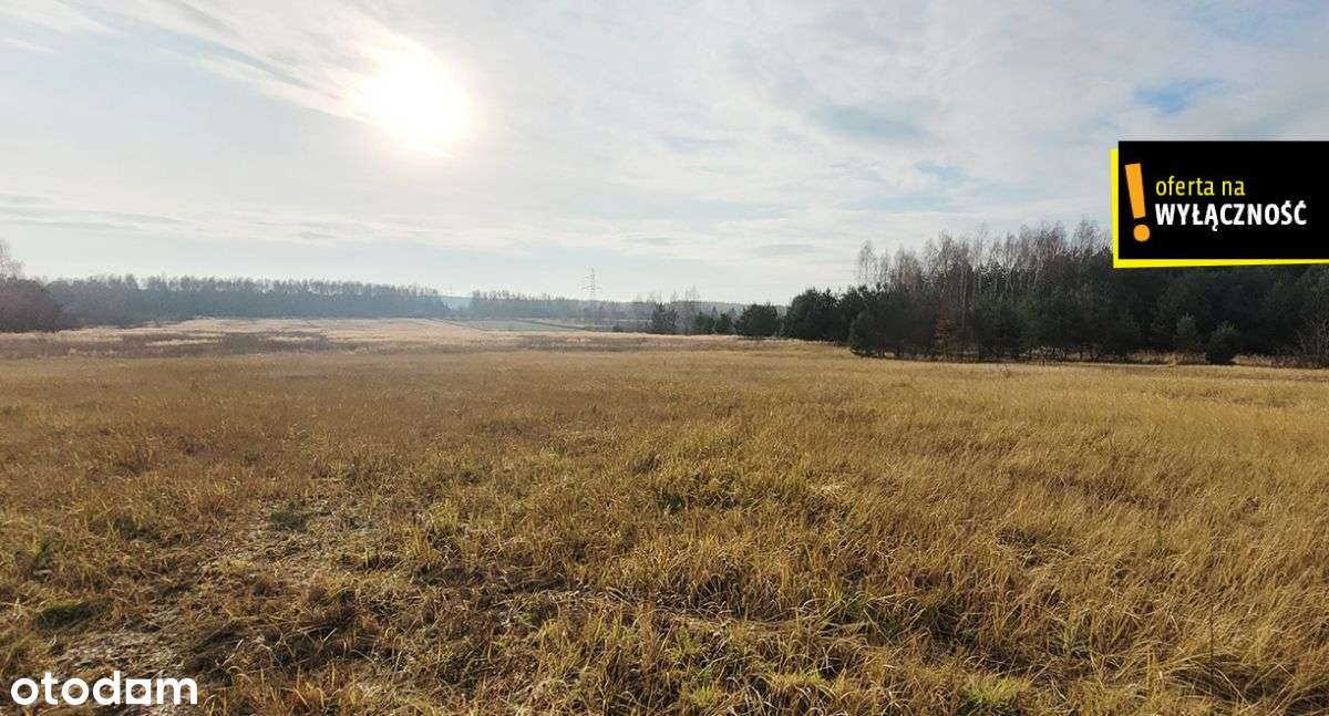 Działka blisko lasu.-12