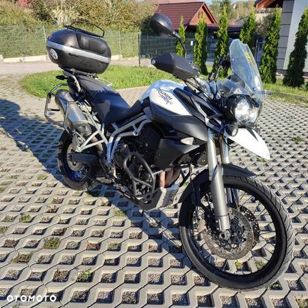 Triumph Tiger - 2