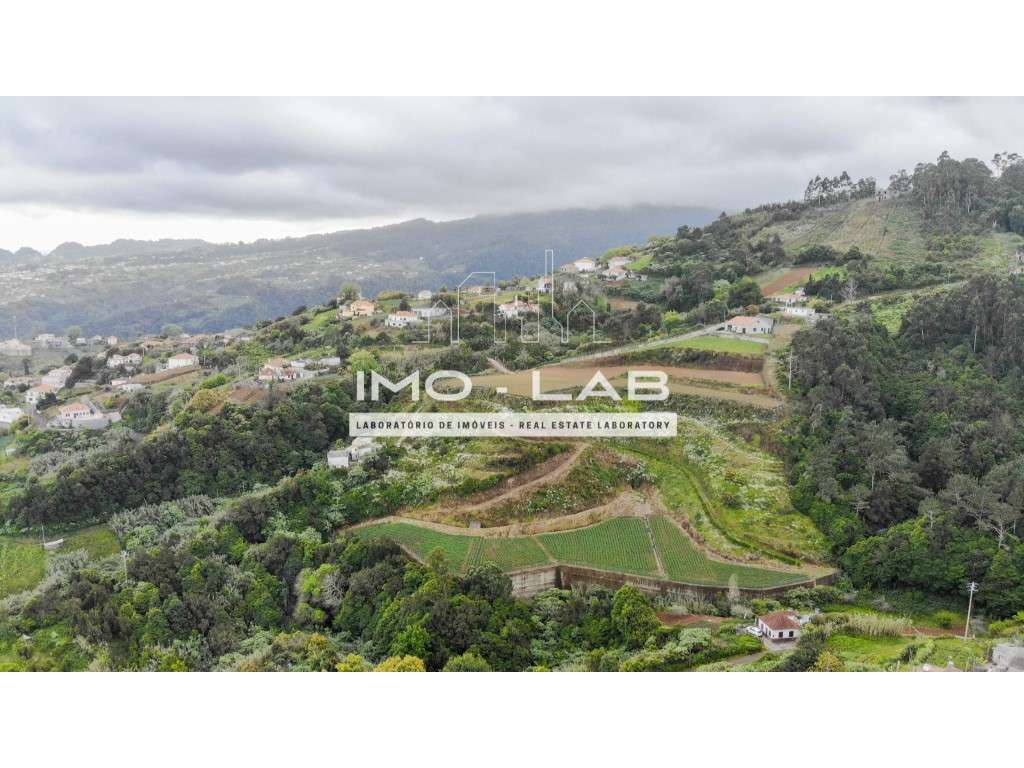 Armazém + 25.566m2 de Terreno Cultivado - São Jorge - Santana-7