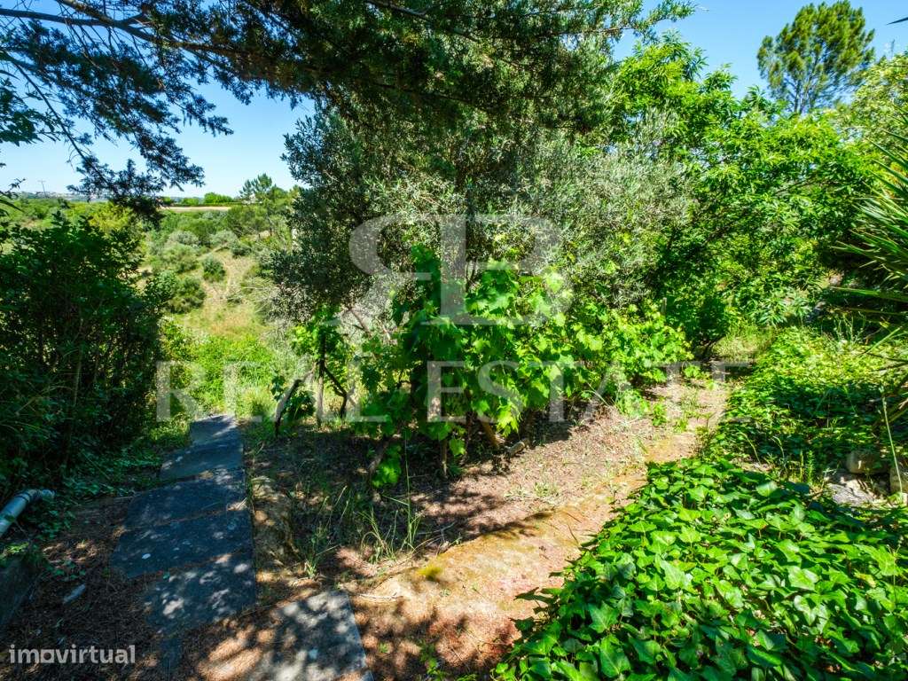 Encantadora Casa de Campo T5 com vista ampla para o campo - Jardim,...-50