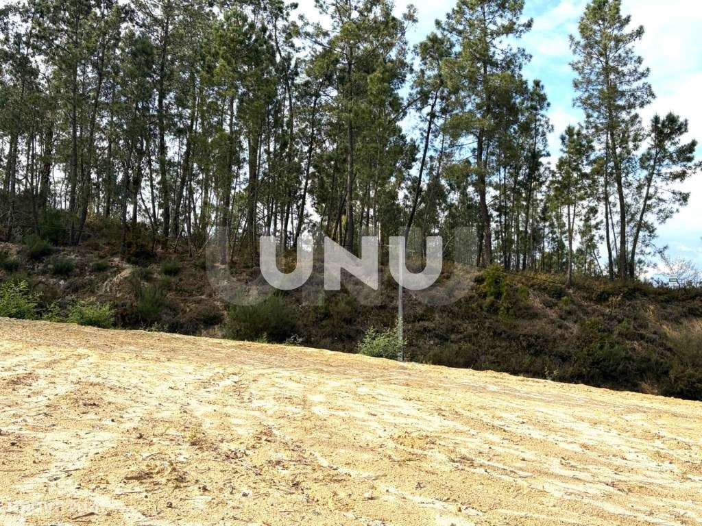 Terreno Rústico - Envolvente de Natureza-12