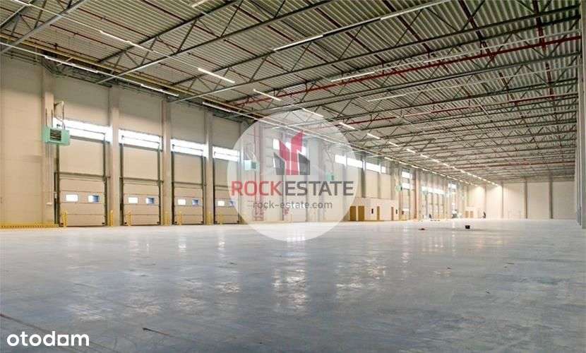 Magazyn na wynajem 1900m2 od zaraz Morawica - Pełny obrazek: 4/13