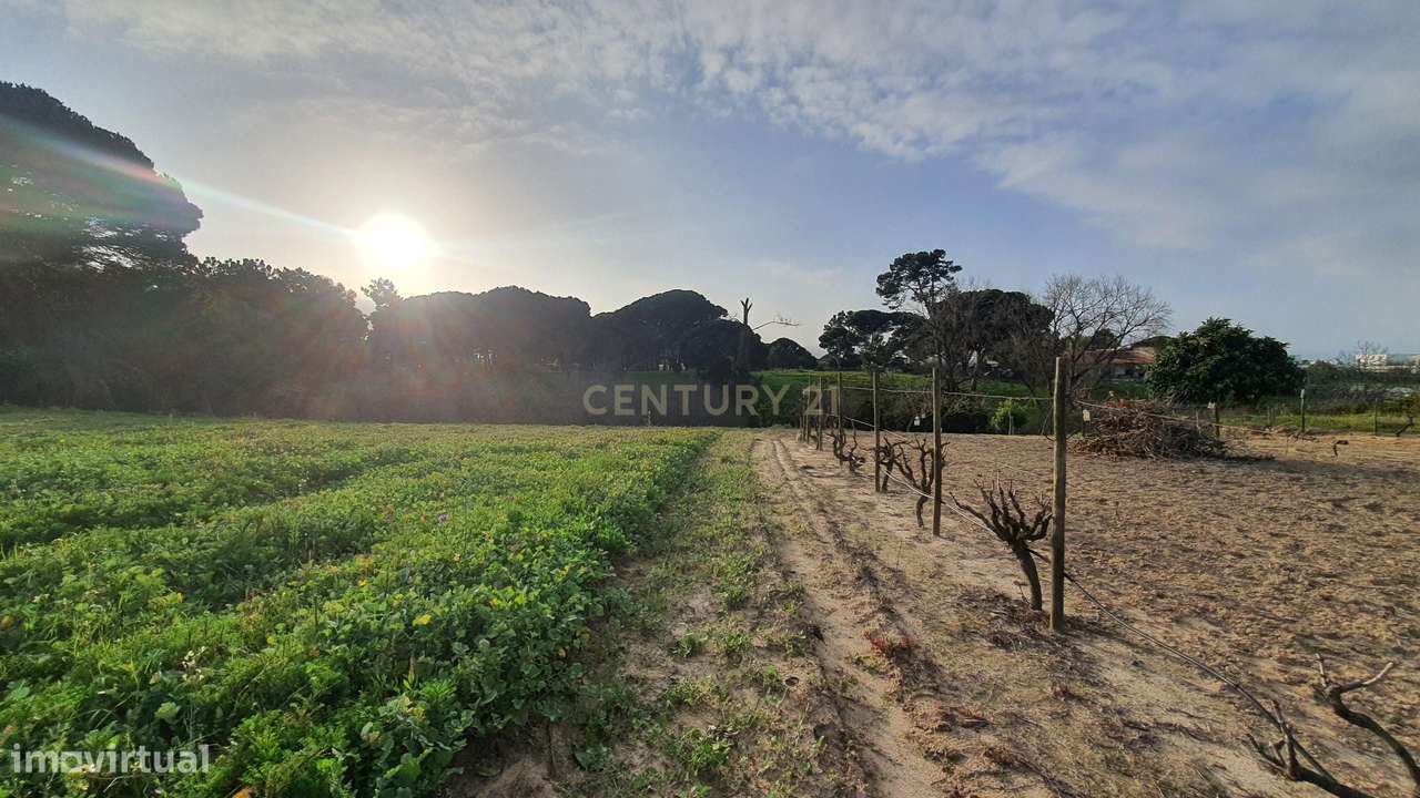 Terreno no meco para apoio agricola ou empreendimento turistico.-11