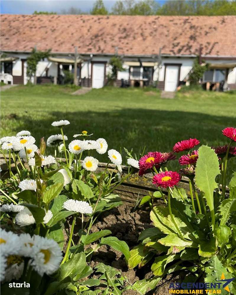 Transilvania Camping, domeniu de 14.400mp,Sanmarghita de Mures:2cladir-2