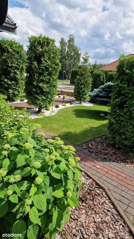 Dom mieszkalny i dom + budynek użytkowy do najmu - Pełny obrazek: 2/20