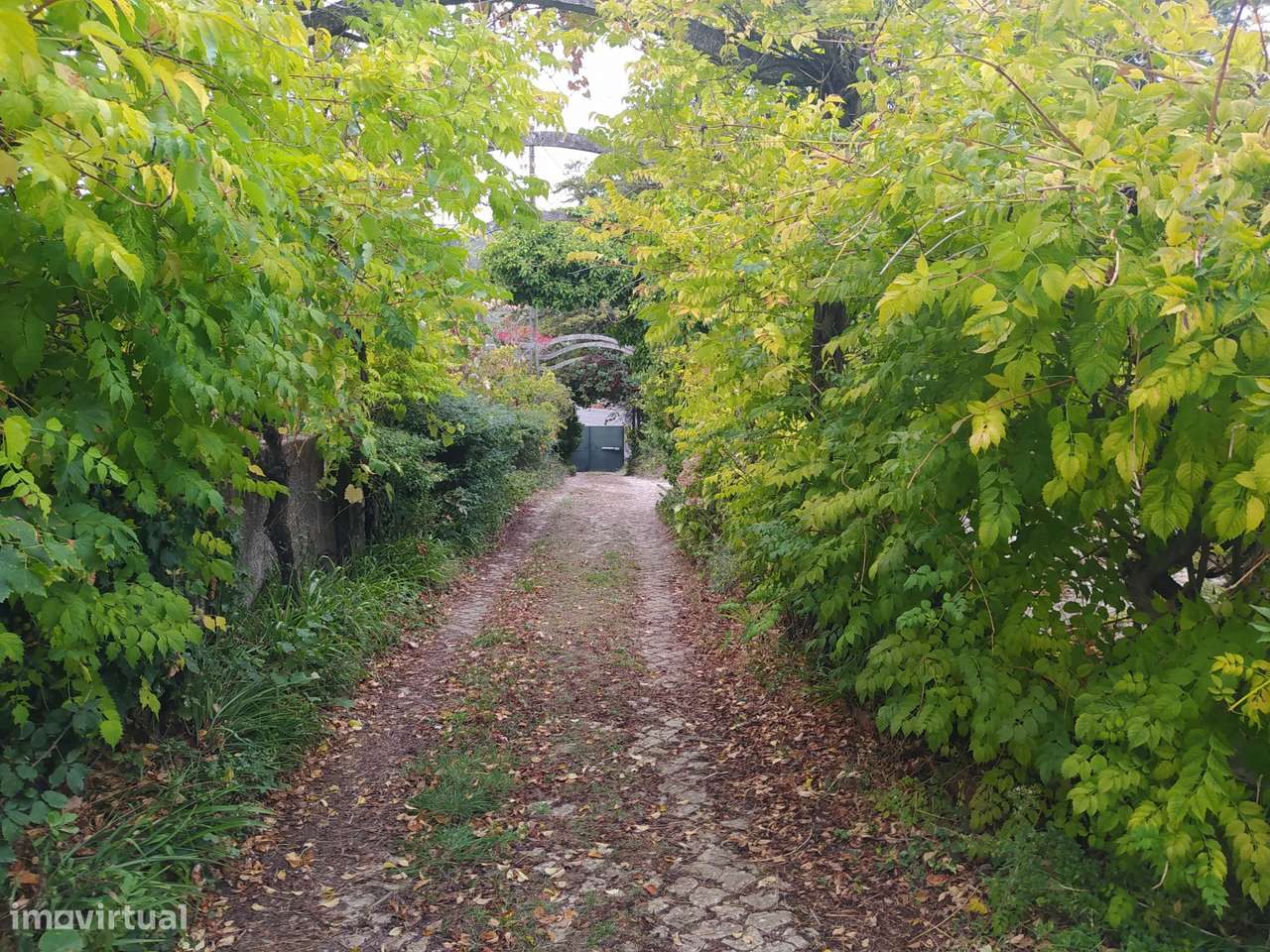 Quinta, Moradia T5 em Santo Estevão das Galés-Mafra-14