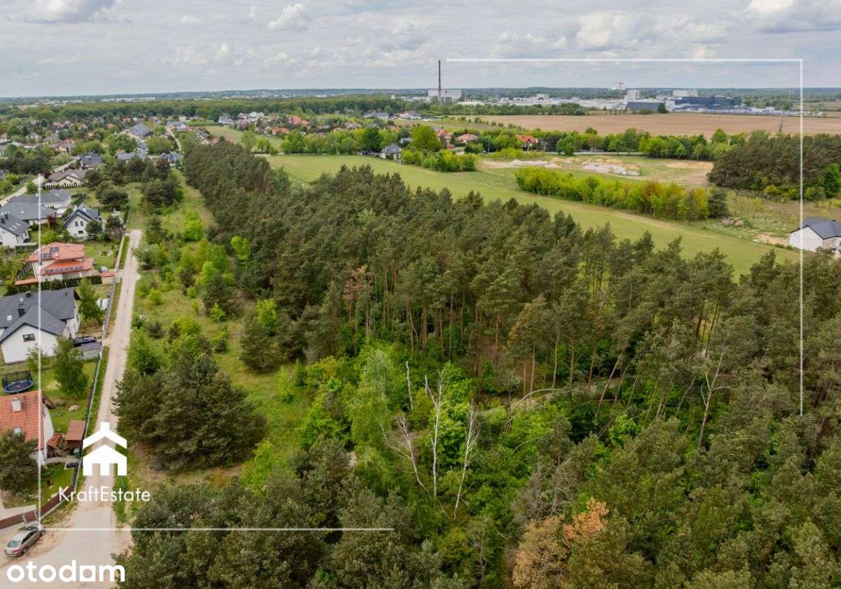 Działka dla inwestora/dewelopera 8218 m2 (0,82 ha) - Pełny obrazek: 5/11