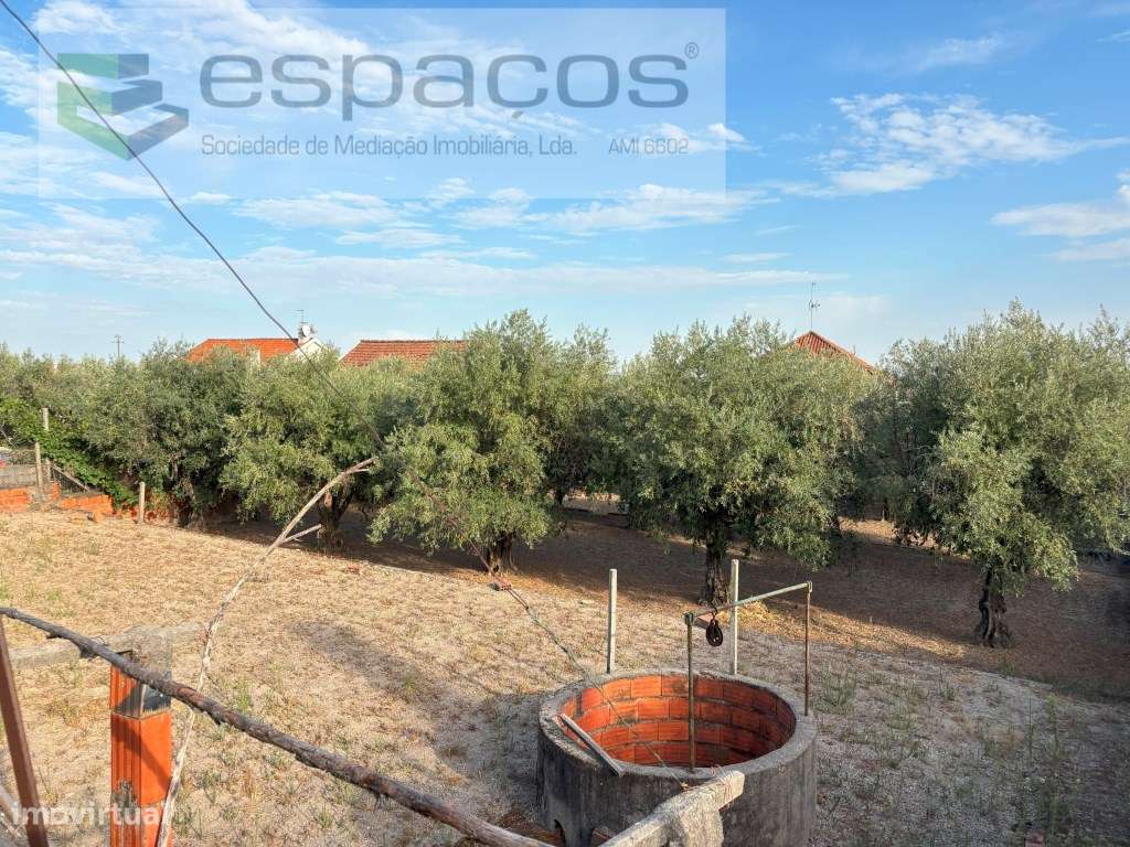 Terreno em Área Urbana - Grande imagem: 5/25