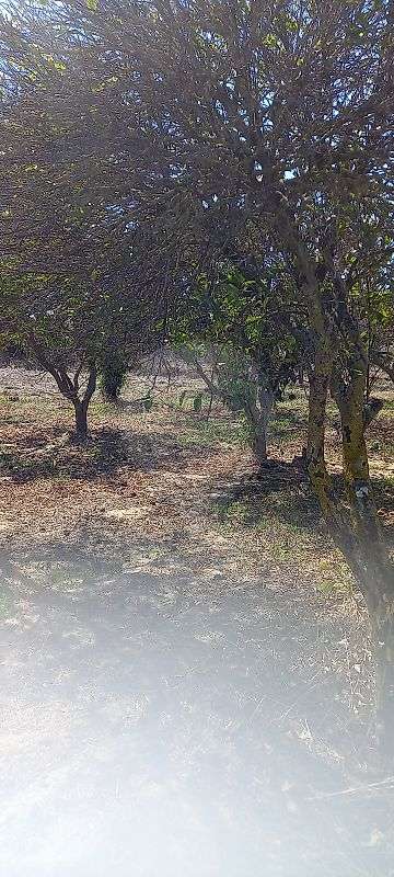 Terreno  para venda - Grande imagem: 4/16