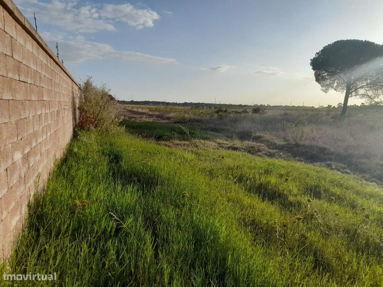 Terreno rústico inserido numa malha urbana com duas frente centro do G - Grande imagem: 5/10
