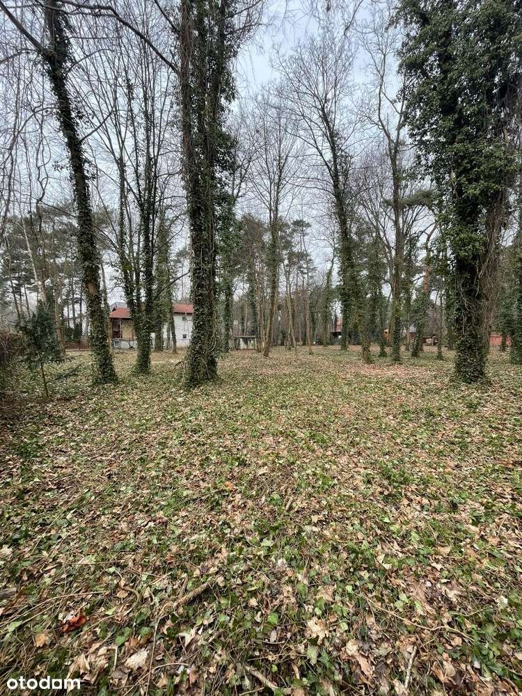 Idealna działka pod rezydencję / dom - Pełny obrazek: 4/19