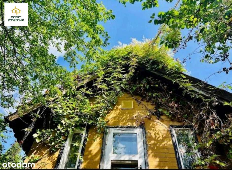 Działka z domem w Oliwie | Pozwolenie na rozbudowę - Pełny obrazek: 4/8