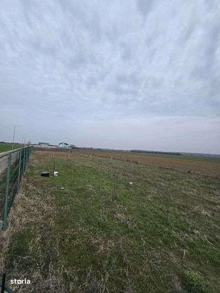 Vand teren in Ilfov- Copaceni - Imagine principală: 4/5