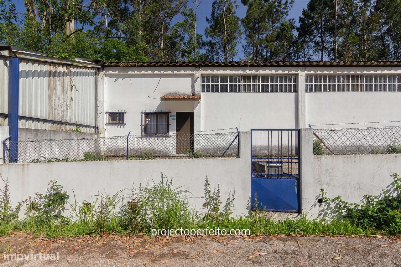 Armazém  Venda em Válega,Ovar - Grande imagem: 4/15