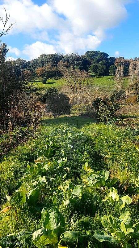 Terreno  para venda-37