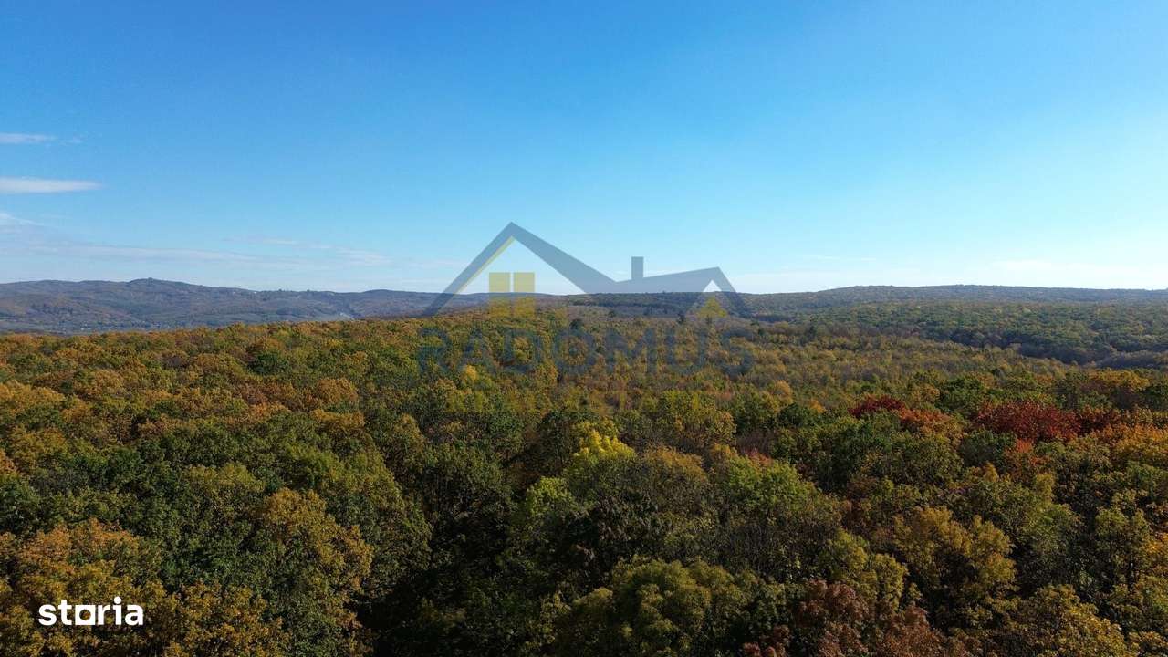 TEREN INTRAVILAN ÎN PĂDURE LA VĂRBILA - PRAHOVA – COMISION 0% - Imagine principală: 5/8