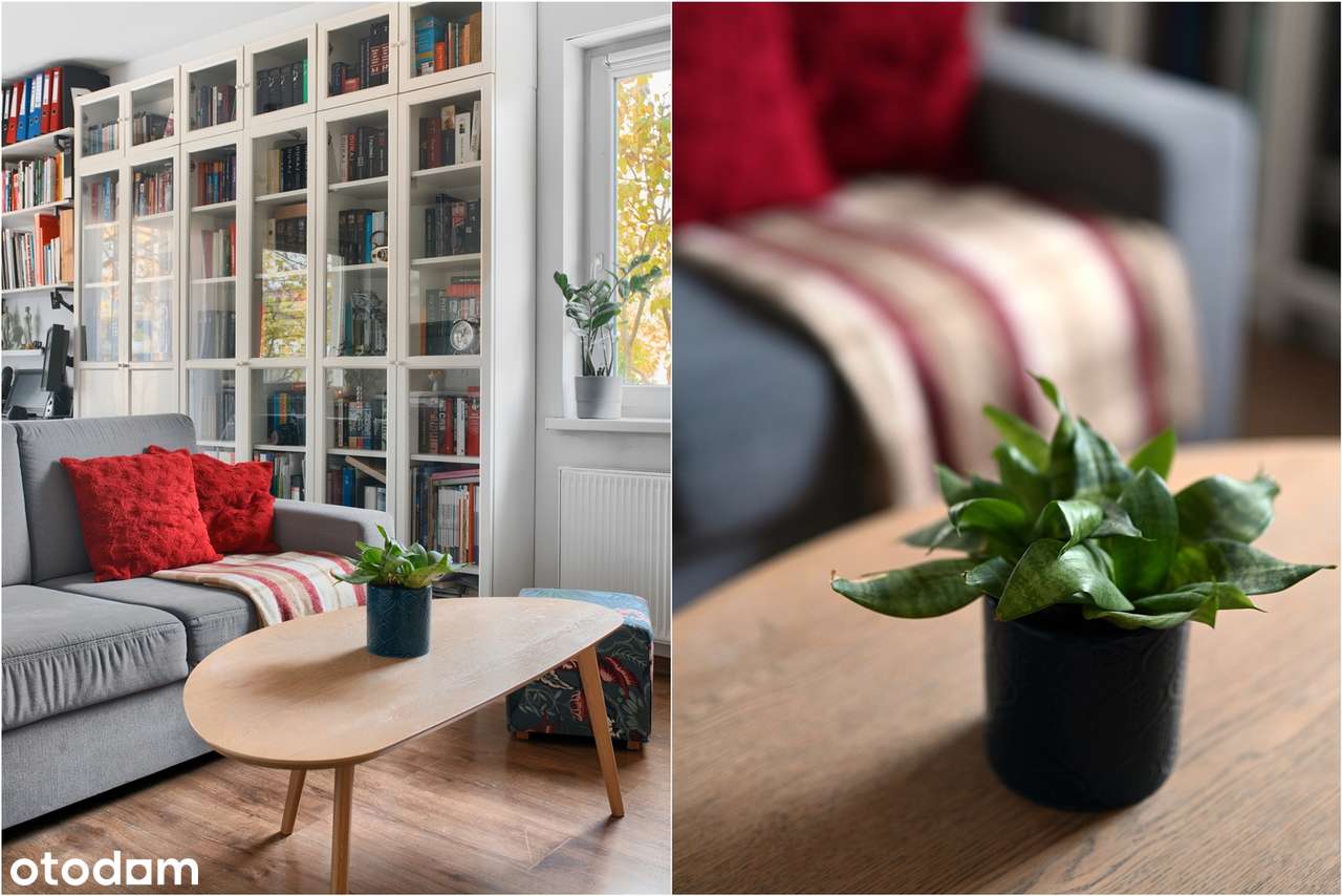 3-pokojowe mieszkanie w spokojnej okolicy - Poznań, Grunwald-2